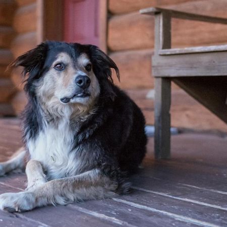 فندق كليرووترفي  Wells Gray Guest Ranch المظهر الخارجي الصورة