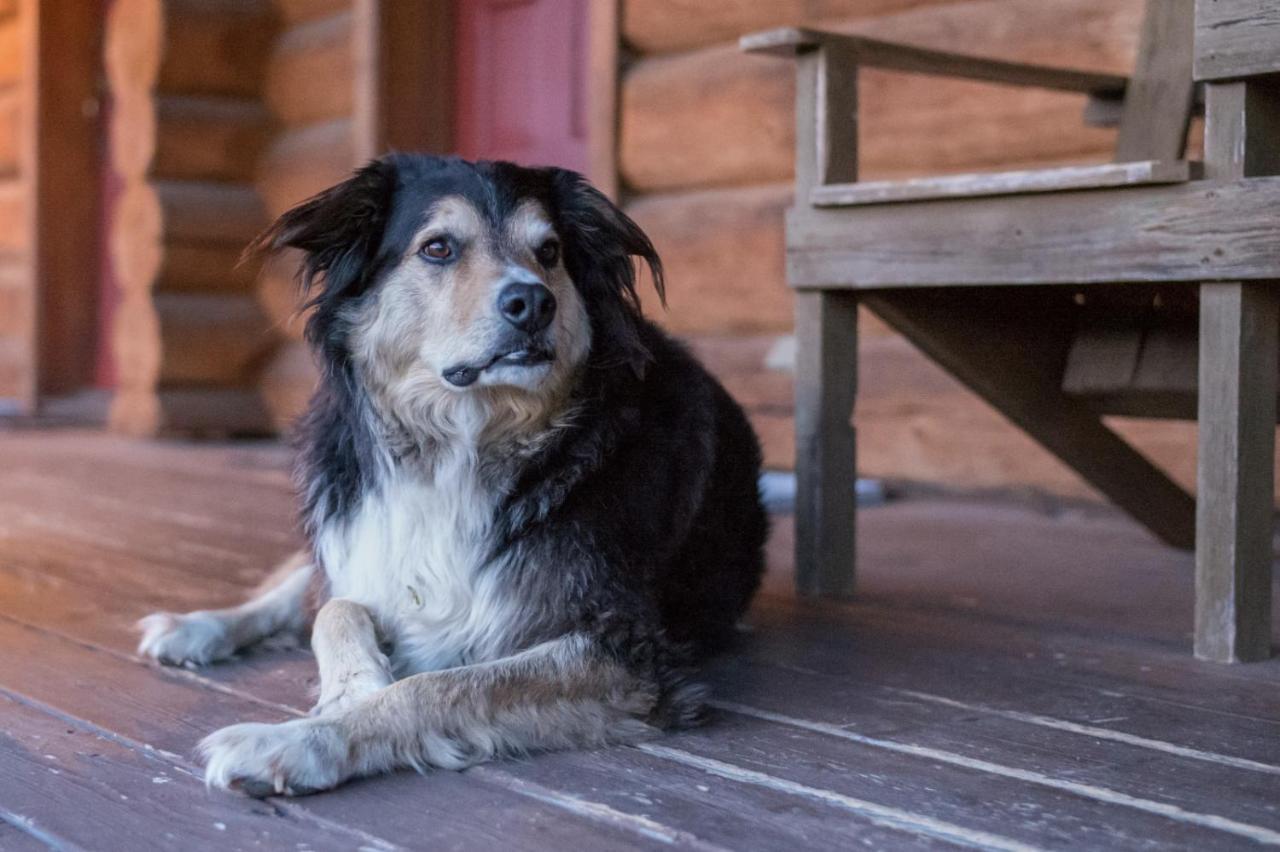 فندق كليرووترفي  Wells Gray Guest Ranch المظهر الخارجي الصورة