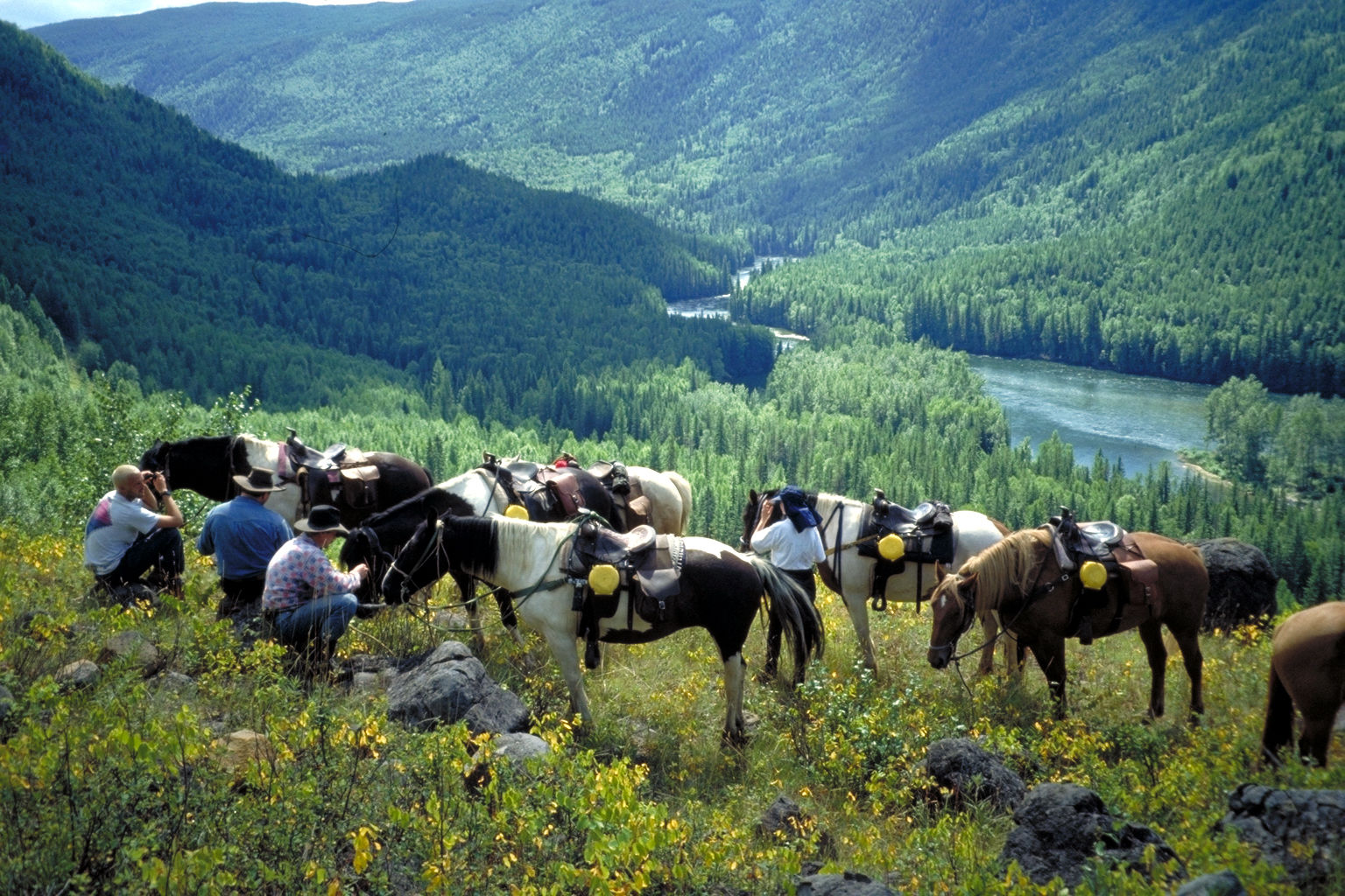 فندق كليرووترفي  Wells Gray Guest Ranch المظهر الخارجي الصورة