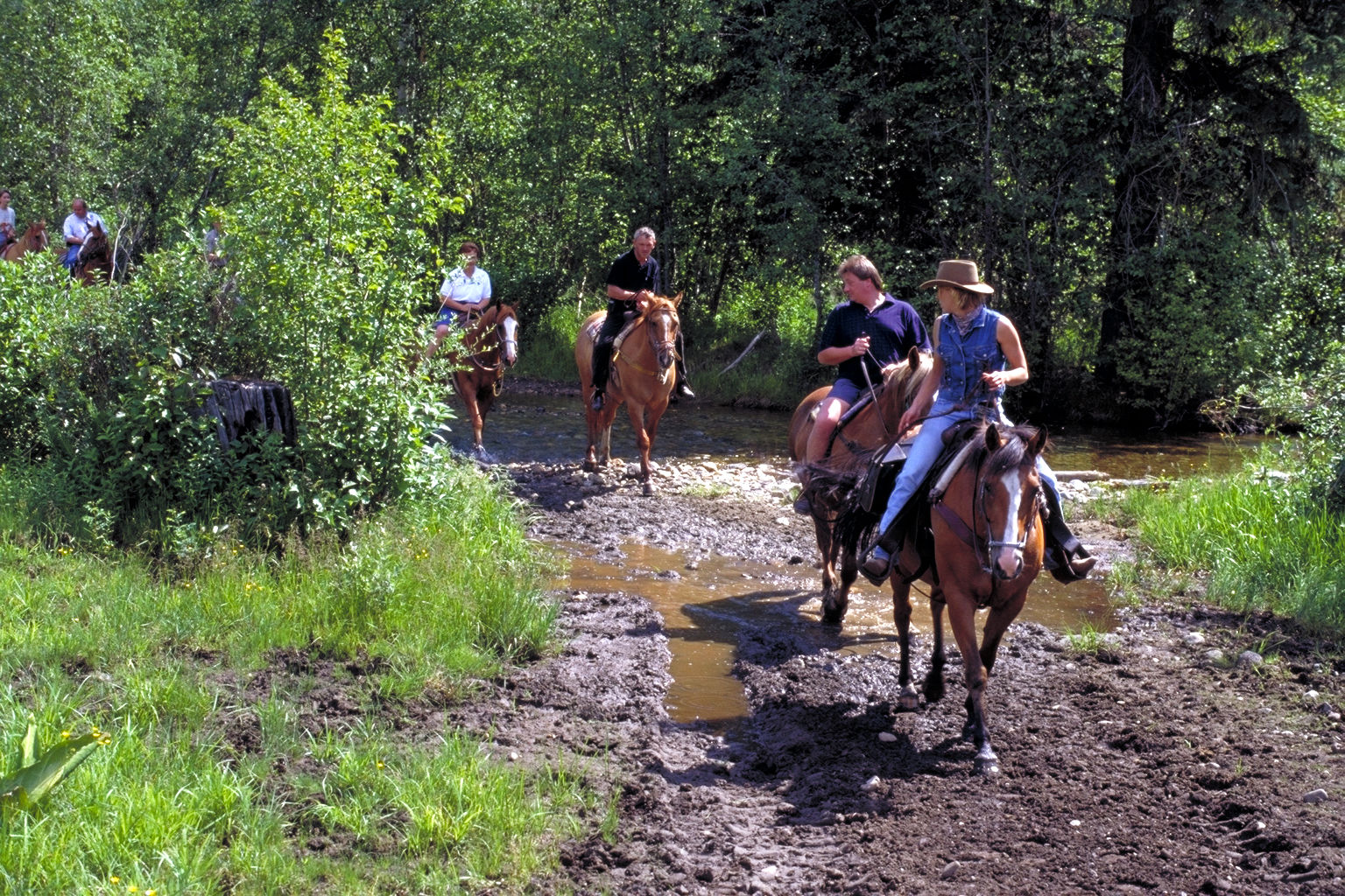 فندق كليرووترفي  Wells Gray Guest Ranch المظهر الخارجي الصورة