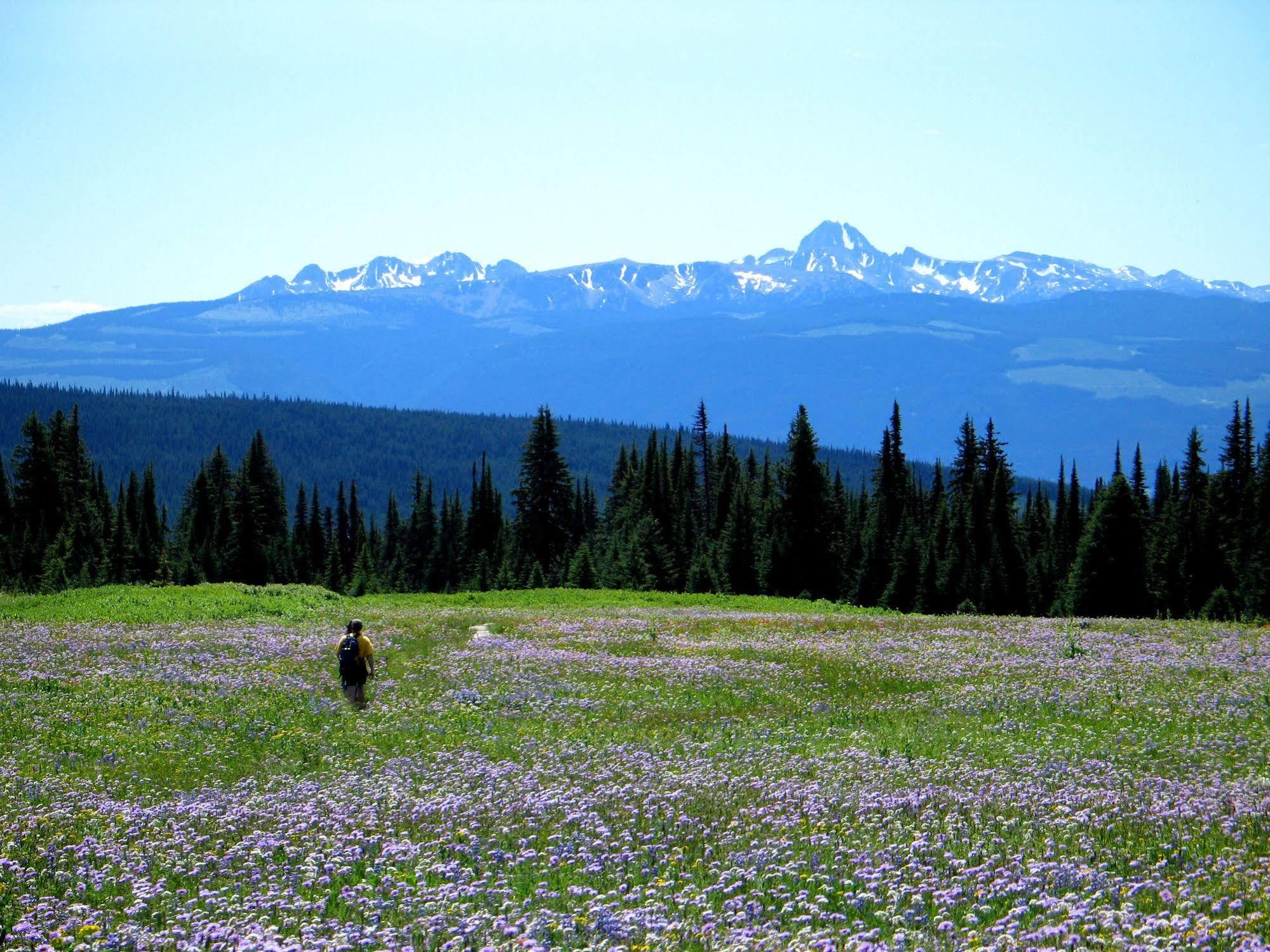 فندق كليرووترفي  Wells Gray Guest Ranch المظهر الخارجي الصورة