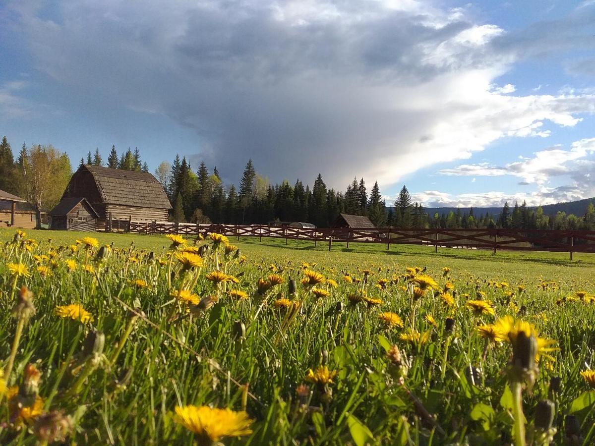 فندق كليرووترفي  Wells Gray Guest Ranch المظهر الخارجي الصورة